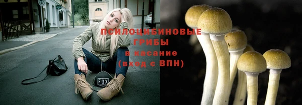гидропоника Алзамай