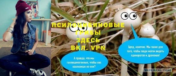 ALPHA-PVP Алексеевка